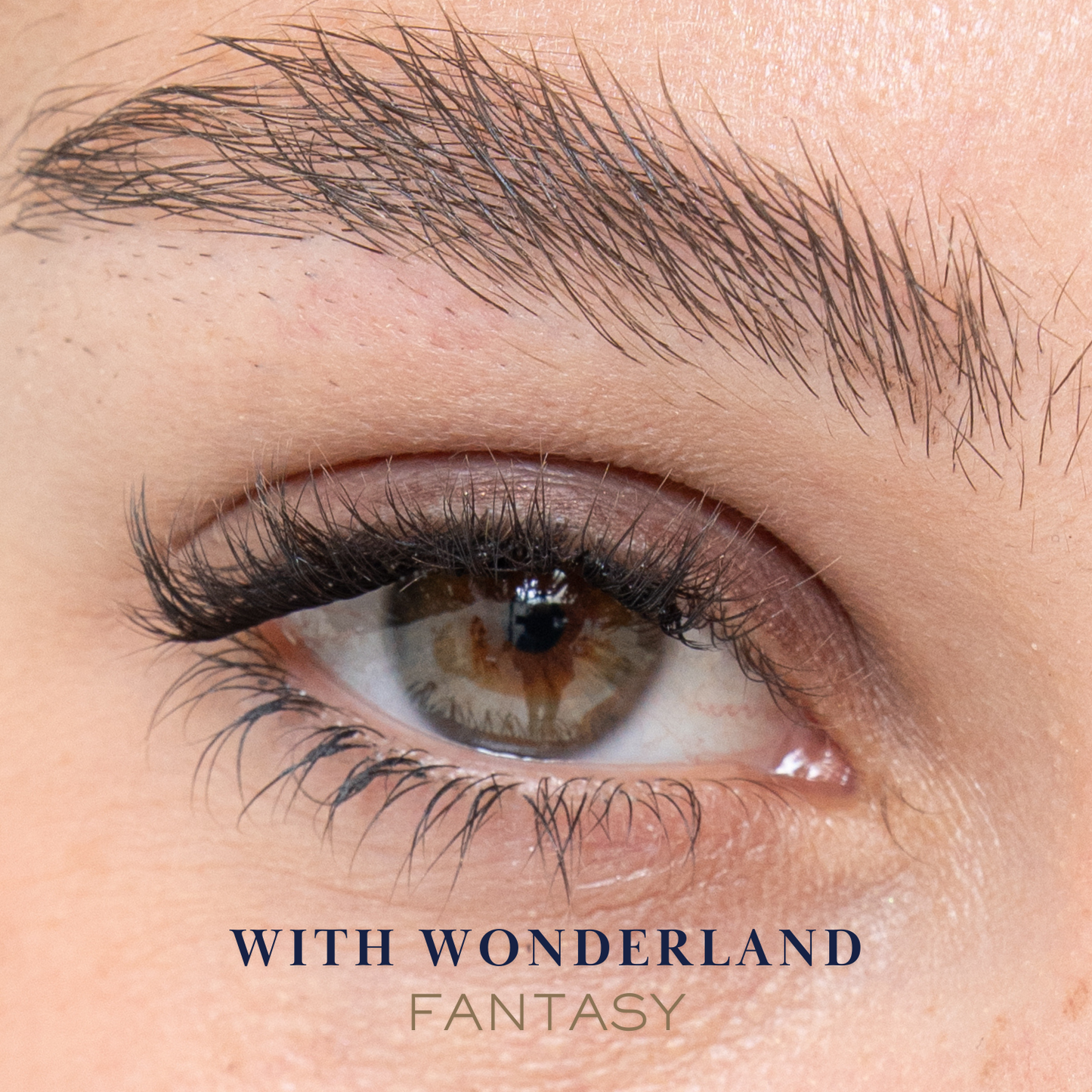 Lash Clusters