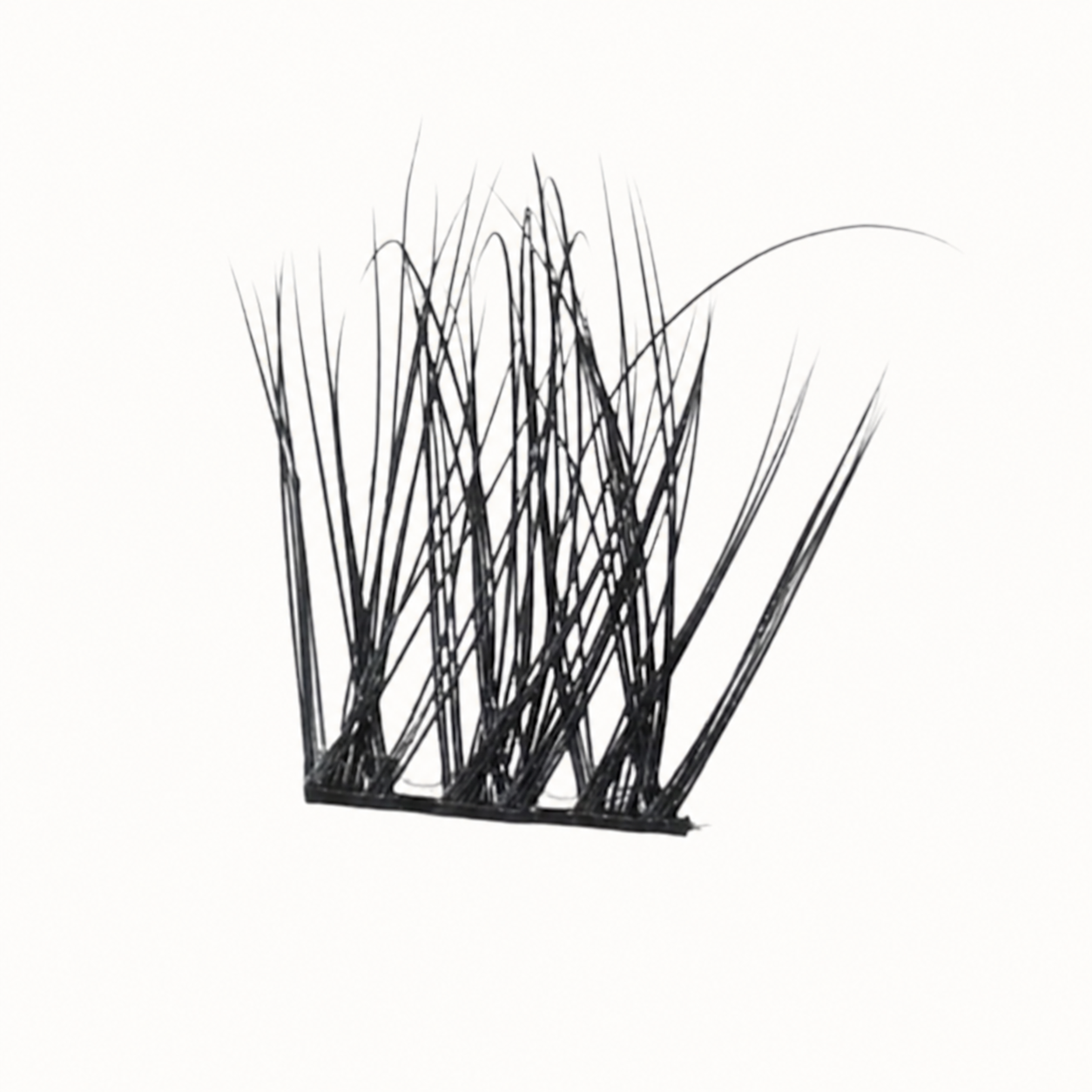 Lash Clusters