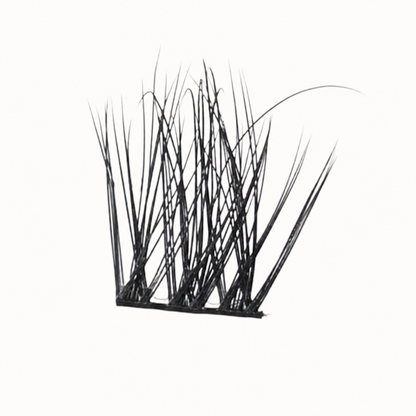 Lash Clusters