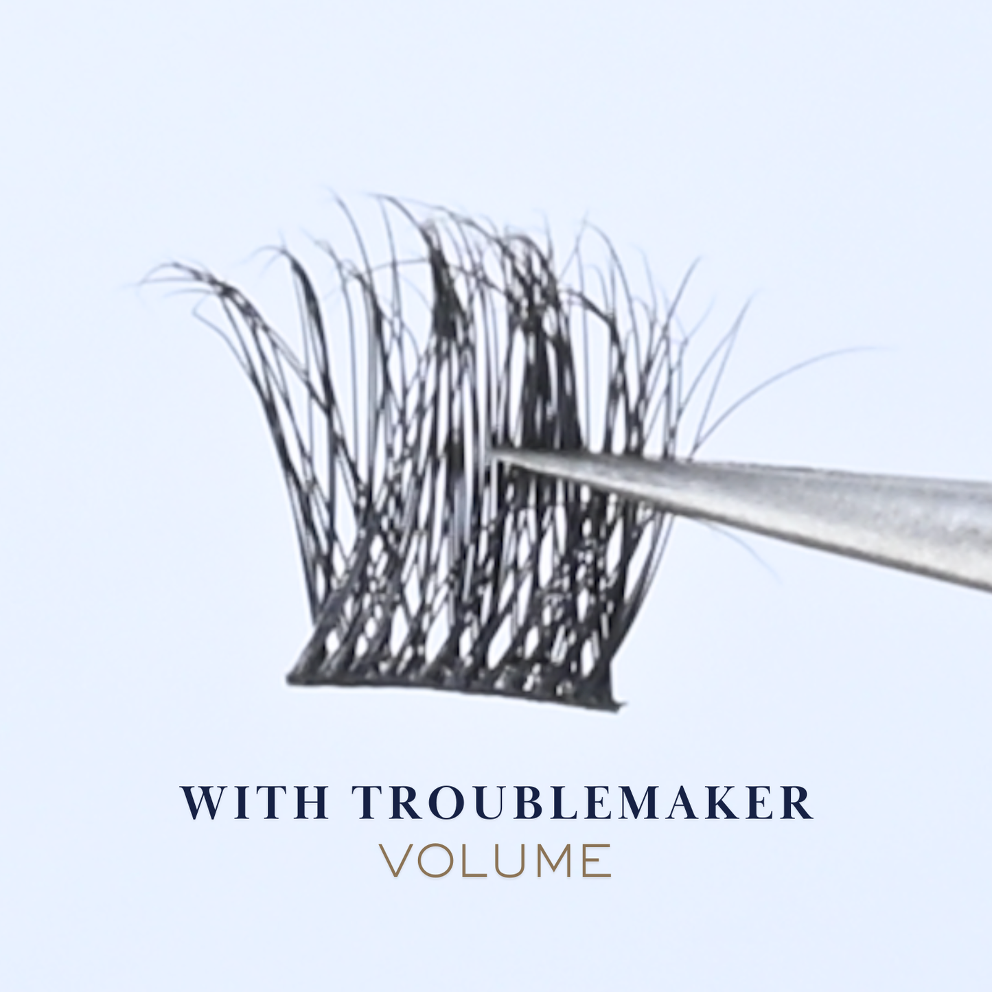Lash Clusters