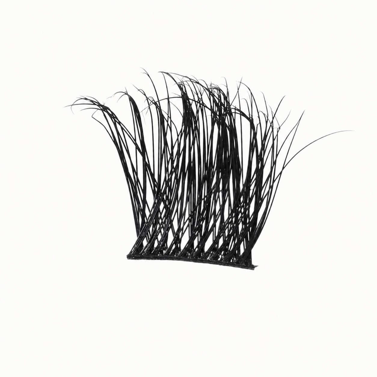Lash Clusters
