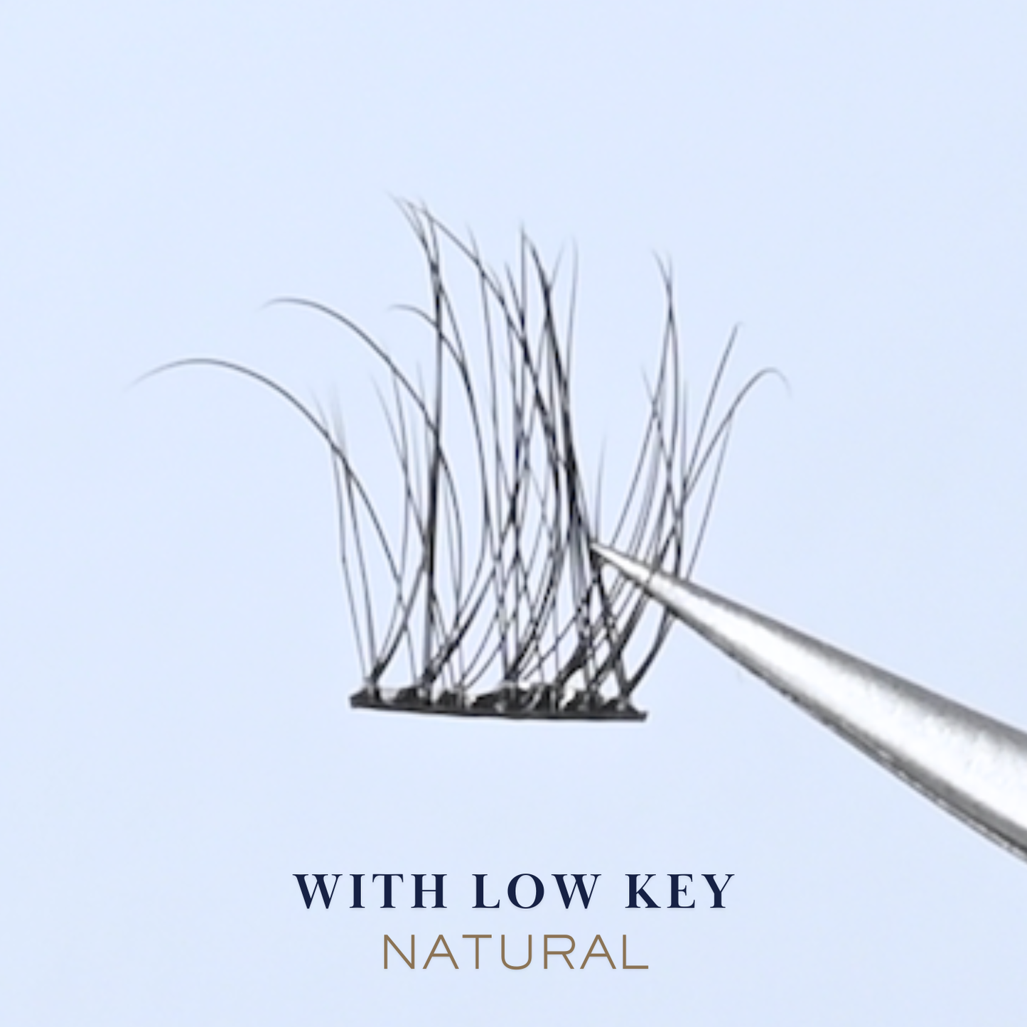 Lash Clusters