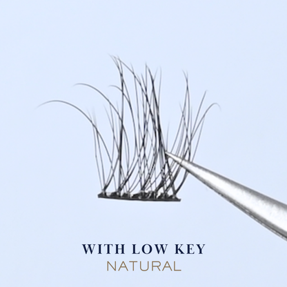 Lash Clusters