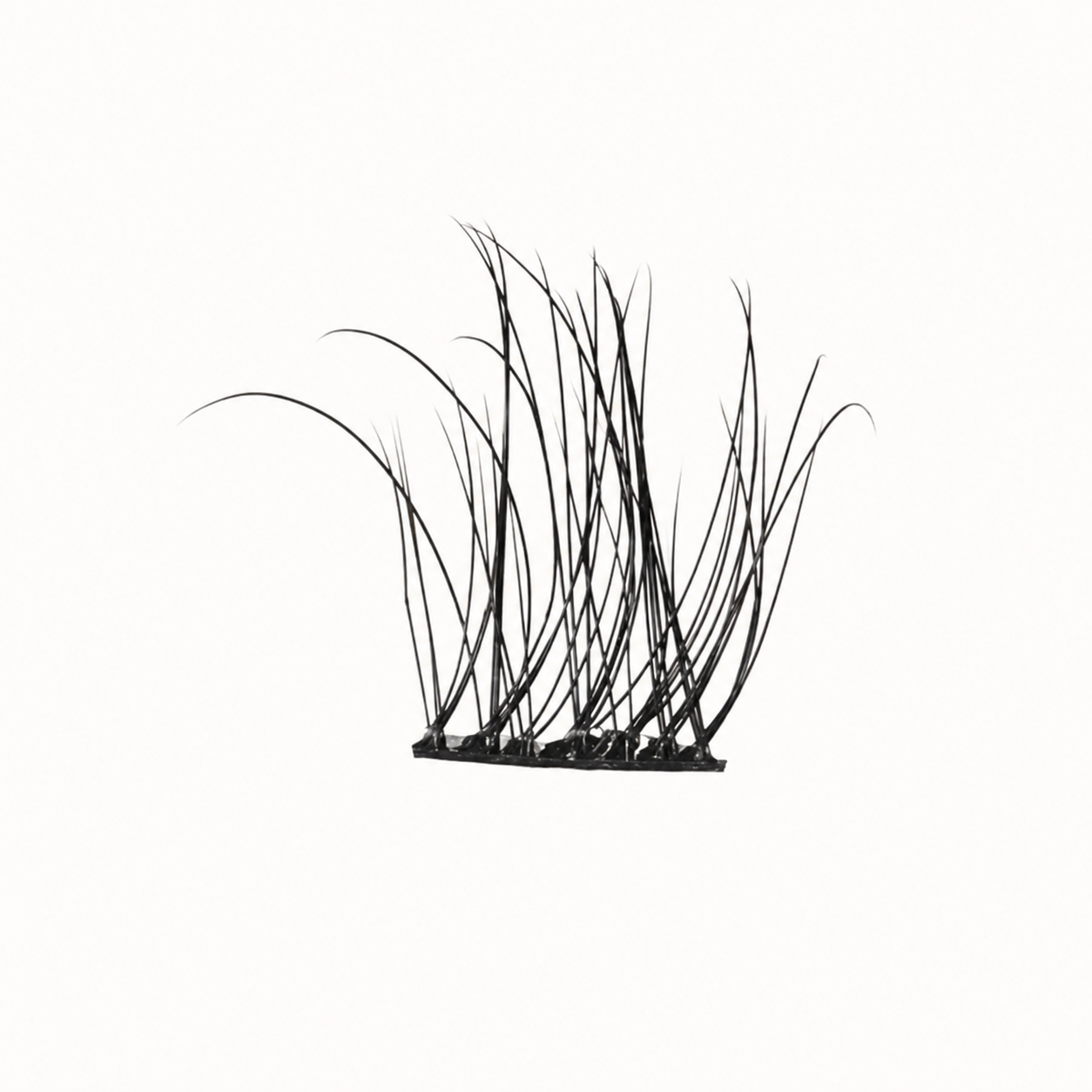 Lash Clusters