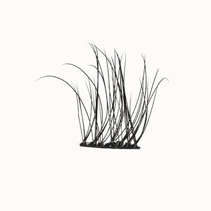 Lash Clusters