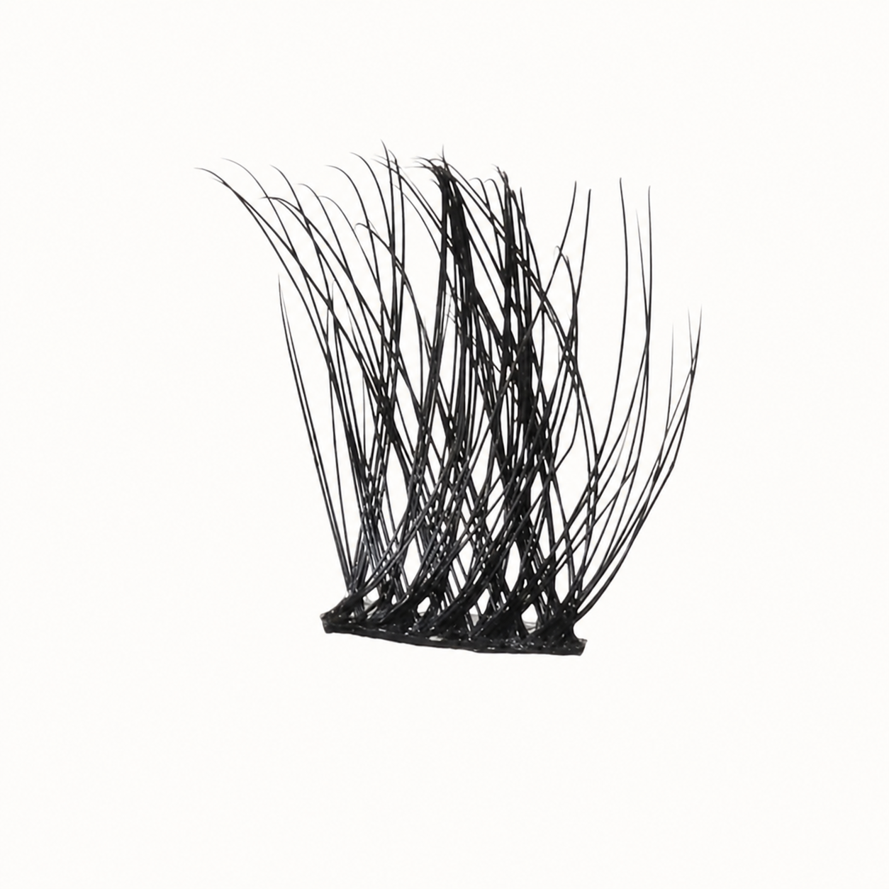Lash Clusters