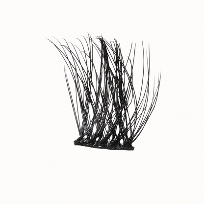 Lash Clusters