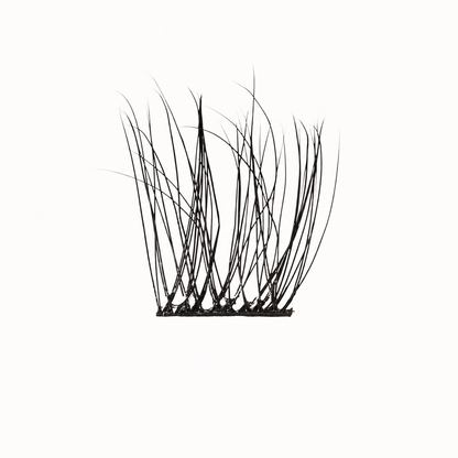 Lash Clusters
